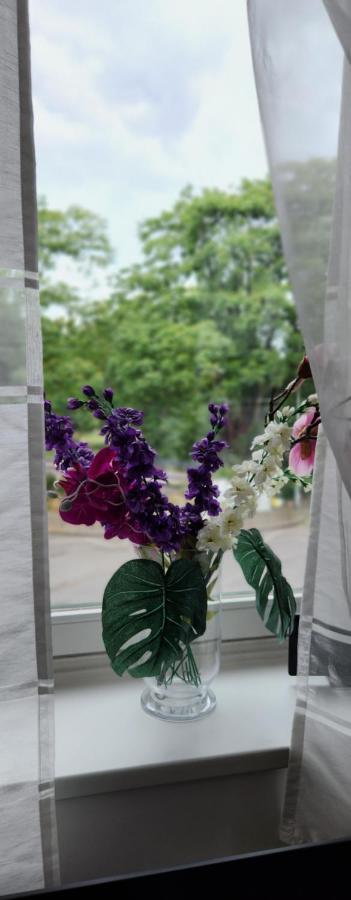 Elena Flat Orchidee Duisburg Zentrum Ngoại thất bức ảnh